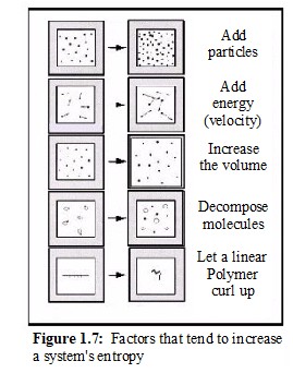 Factors that increase Entropy