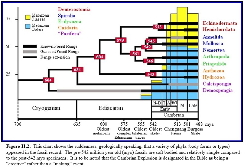 Cambrian Explosion