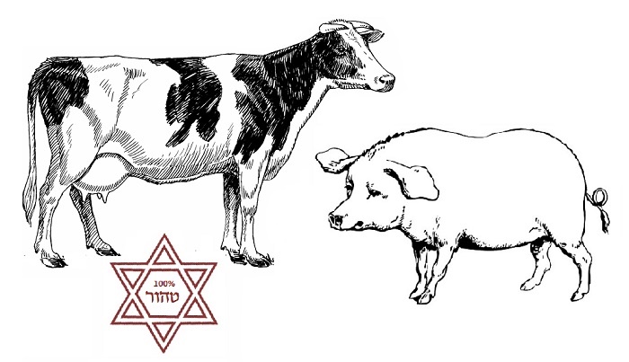 Before Kashrut purity A System of Purity