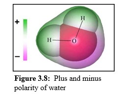 Polarity of Water Molecule