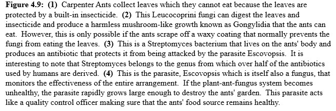 Three-way symbiosis description