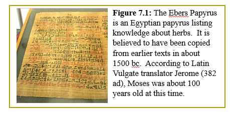 Hearst Medical Papyrus