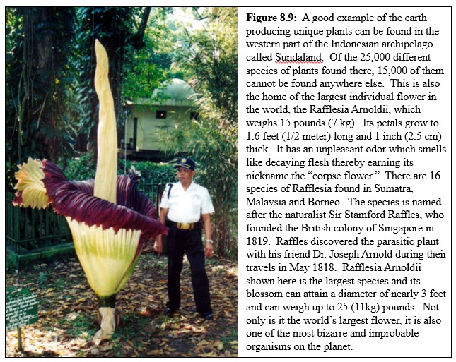 Worled largest Flower