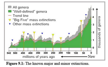 Major and minor extinctions
