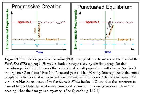 Progressive Creation and Punk Eek